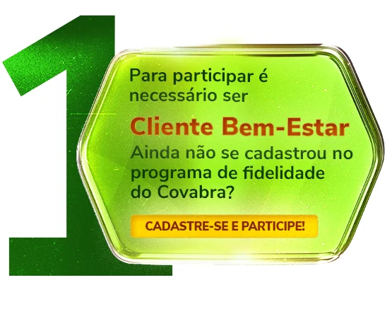 Bem-Estar Banca Meu Mercado